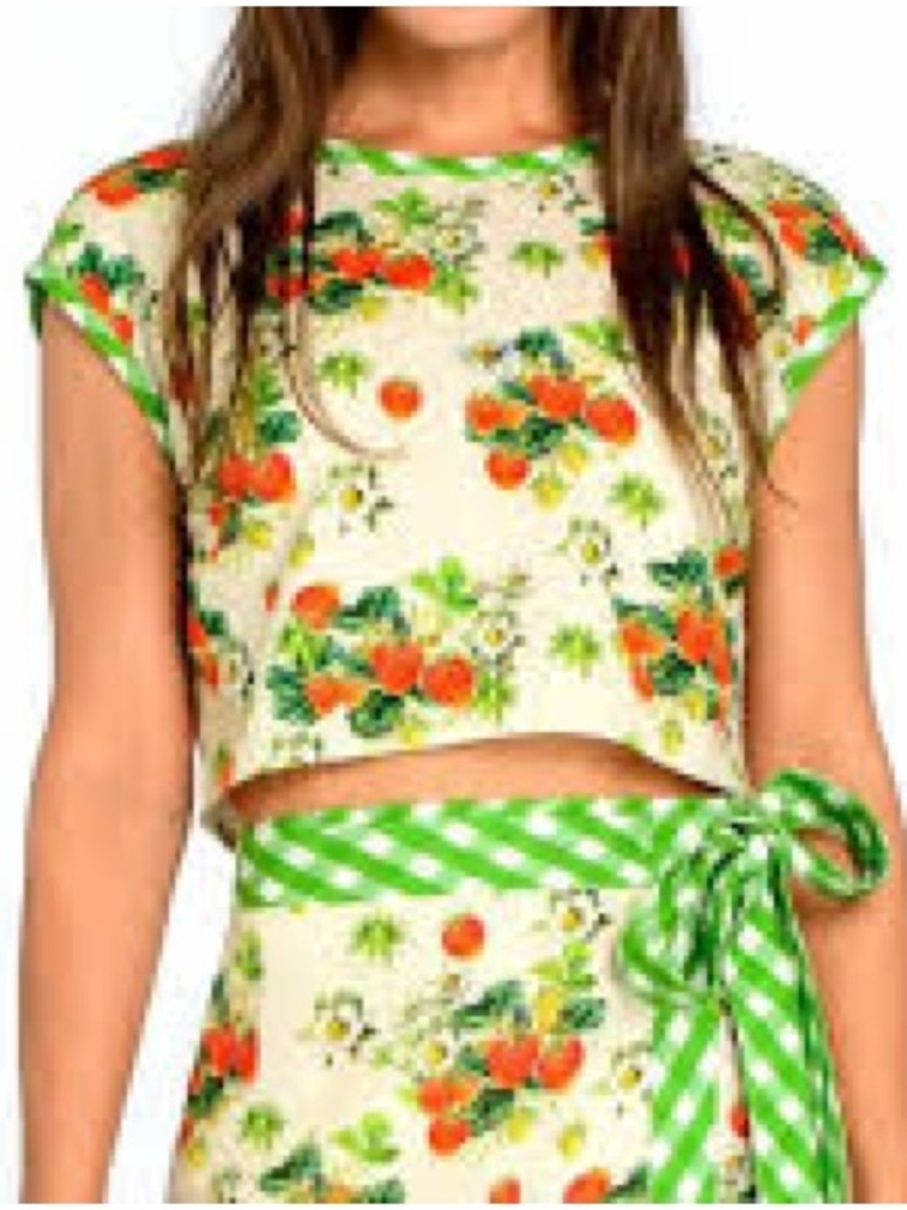 Elizabeth James The Label Strawberry Floral Cropped Top XS